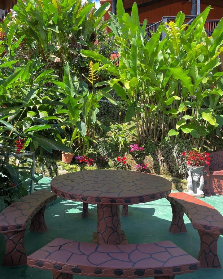 Dreams Lodge Orosi Cartago Buitenkant foto