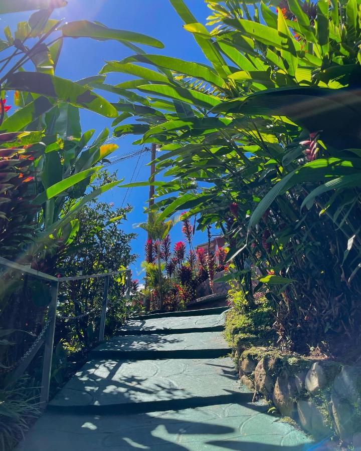 Dreams Lodge Orosi Cartago Buitenkant foto