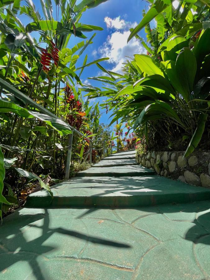 Dreams Lodge Orosi Cartago Buitenkant foto