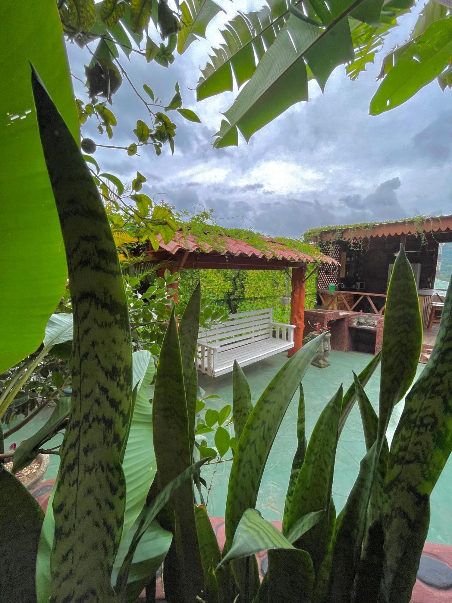 Dreams Lodge Orosi Cartago Buitenkant foto