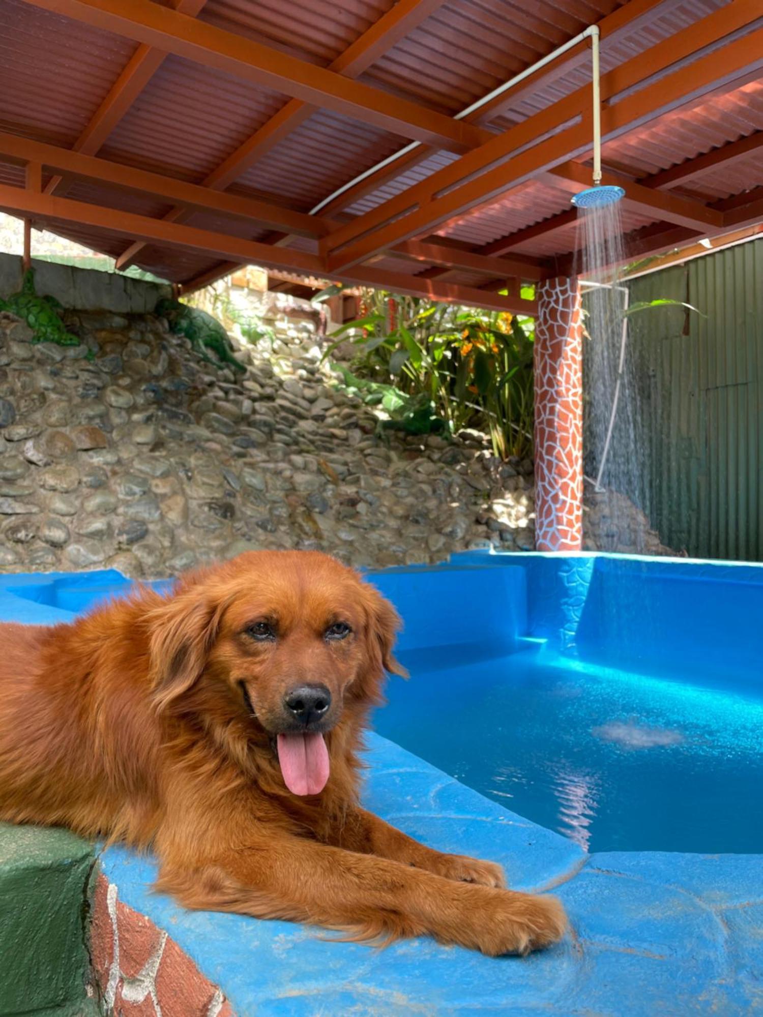 Dreams Lodge Orosi Cartago Buitenkant foto